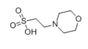 4-Morpholineethanesulfonic acidstructure 4-Morpholineethanesulfonic acidstructure