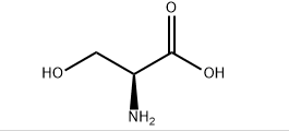 L-Serine CAS 56-45-1