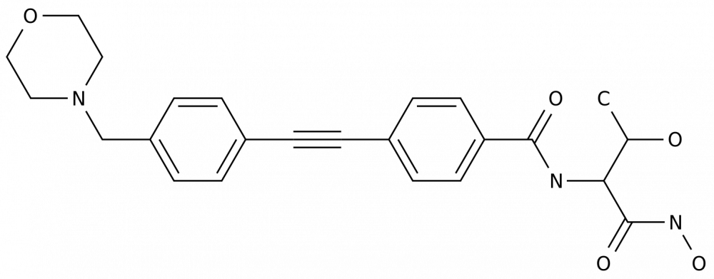 ЧИР-090 в России