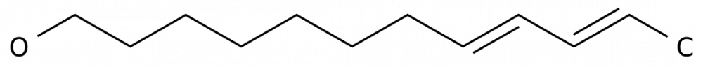 Кодлемон в России