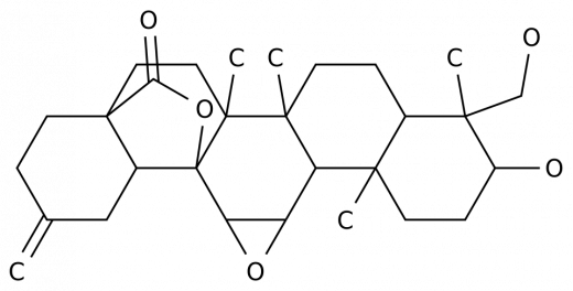11α,12α-Эпокси-3β,23-дигидрокси-30-норолеан-20(29)-ен-28,13β-олид в России